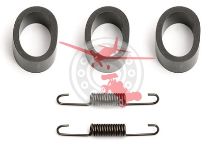 Manifold Rubber and Spring Set for Z.12R Team (LRP 39113)