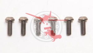 Titanium Screws M3x8mm 2mm Hex Button Head 6 Pcs. (COR 11812)